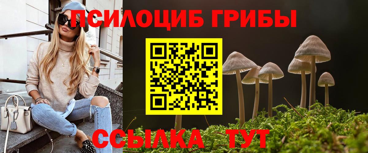 Псилоцибиновые грибы GOLDEN TEACHER Пыть-Ях