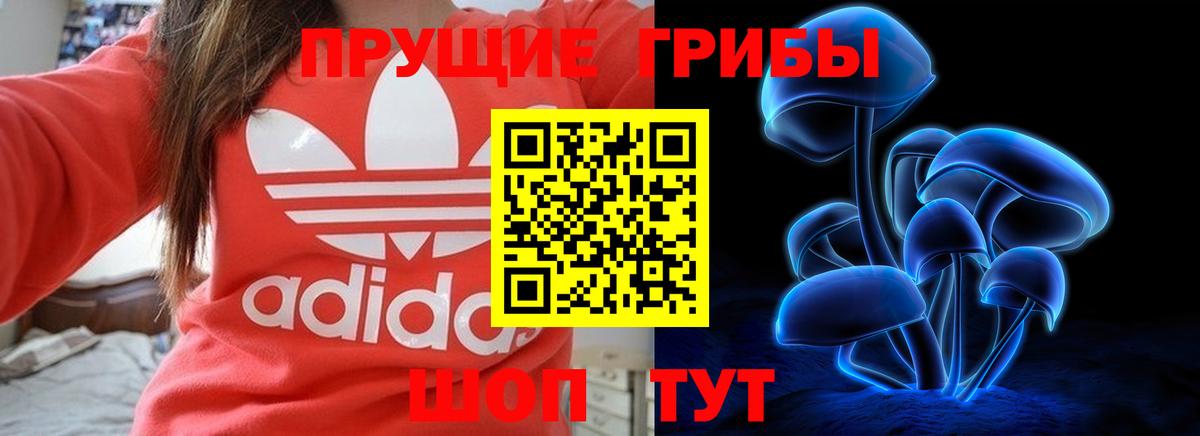 Пыть-Ях  наркошоп  Вход с VPN  Галлюциногенные грибы Magic Shrooms 